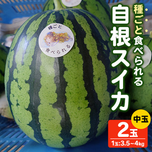 [先行予約!2026年7月上旬以降順次発送予定]種ごと食べられる自根すいか中玉(2玉・計約7〜8kg) 国産 果物 スイカ セット [man370][はざま篠原農産合同会社]