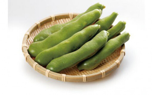 [先行予約!2027年5月上旬以降順次発送予定]そらまめ(約2kg) そら豆 豆 国産 [man071-A][Aglio nero]