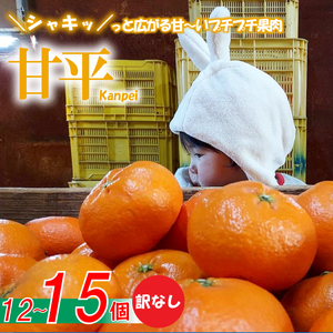 [愛媛県産]甘平 約12-15個入 訳なし [2025年1月下旬〜発送予定] 柑橘 みかん 果物 くだもの フルーツ おすすめ 高級 人気 お取り寄せ グルメ ギフト 期間限定 数量限定 ご当地 愛媛県 松山市[TKG0021_x]