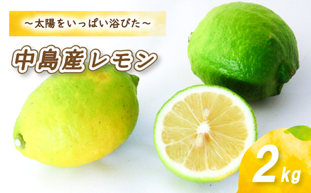 [10月から発送] レモン 2kg ( 14? 18玉 ) レモン 檸檬 レモン 数量限定 レモン 愛媛県産 レモン 松山市 レモン 中島 レモン 有機栽培 レモン 新鮮 レモン [お贈り物にもおすすめ][NO0031]