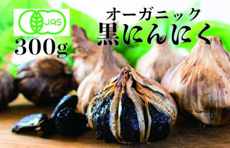 [農薬不使用]有機黒にんにく150g x 2パック にんにく ニンニク 黒にんにく 黒ニンニク[HF002_reizo]