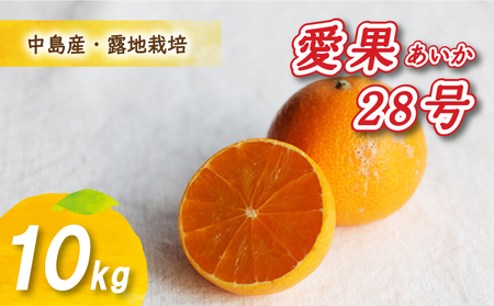 [12月から発送] 愛果28号 10kg あいか みかん 数量限定 みかん 愛媛県産 みかん 愛果28号 松山市 みかん 中島 みかん 愛果28号 みかん 蜜柑 愛果28号 ミカン みかん 旬 愛果28号 [NO0151] nponouon