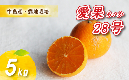 【12月から発送】 愛果28号 5kg あいか みかん 数量限定 年内配送 みかん 愛媛県産 みかん 愛果28号 松山市 みかん 中島 みかん 愛果28号 みかん 蜜柑 愛果28号 ミカン みかん 旬 愛果28号【NO0141】