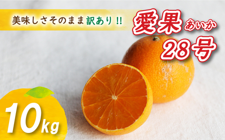 [12月から発送] 訳あり 愛果28号 10kg あいか みかん 数量限定 年内配送 みかん 愛媛県産 愛果28号 松山市 中島 訳あり 蜜柑 ミカン 旬 露地栽培 FN-SupportProject FN-SupportProject -Support Project [NO0121]