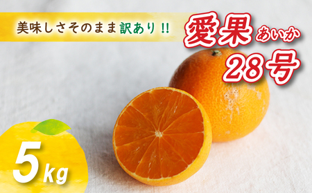 [12月から発送] 訳あり 愛果28号 5kg あいか みかん 数量限定 年内配送 みかん 愛媛県産 愛果28号 松山市 中島 訳あり 蜜柑 ミカン 旬 露地栽培 FN-SupportProject FN-SupportProject - [NO0111]