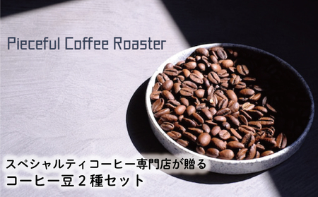 スペシャルティコーヒー コーヒー豆 2種セット 自家焙煎 コーヒー スペシャルティ コーヒー 珈琲 コーヒー 豆 愛媛県 松山市