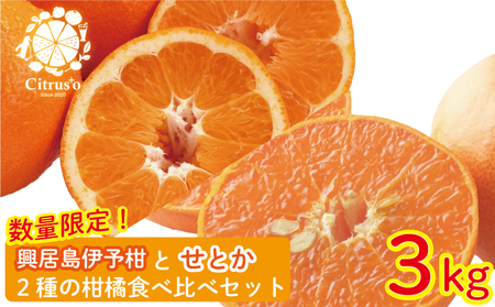 [先行予約・2025年2月上旬から発送]興居島伊予柑とせとか 2種の柑橘食べ比べセット 約3kg みかん 柑橘 みかん フルーツ みかん 食べ比べ ミカン みかん 蜜柑 愛媛県 松山市