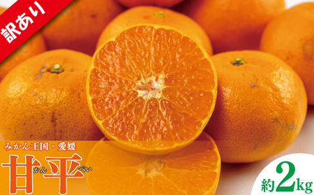 [甘平]先行予約 訳あり 甘平 約2kg みかん[VEG0071]