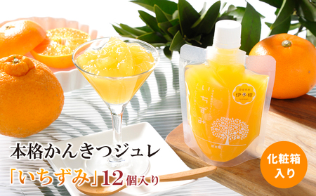 本格かんきつジュレ「いちずみ」 12個入り ( あいか･せとか入り )[化粧箱入り]約2kg (170g×12個) | ゼリー ゼリー ゼリー ゼリー ゼリー[KK2201]