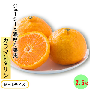★発送は4月中旬～★ カラマンダリン 2.5kg（MからLサイズ）【FA0902】