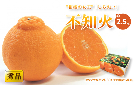 [先行予約][2026年2月上旬頃から発送予定]不知火(しらぬい) [秀品] 約2.5kg (L-3L / 8-12玉 ) ギフトBOX入り | みかん 不知火 秀品 贈答箱 愛媛県 松山市 ココオ Koko'o[KK3121]