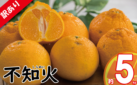 みかん・レモン・柑橘類の人気返礼品ランキング（月間） | ふるさと