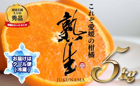 [サンマルシェ] 冷蔵配送 要冷蔵保管 せとか 秀品 Lサイズ 5kg 愛媛 2024年 4月発送 柑橘 くだもの 