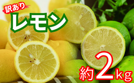 訳あり レモン サイズ不揃い 約2kg | レモンレモンレモンレモンレモンレモン