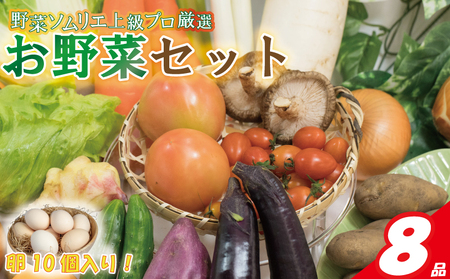 [野菜ソムリエ上級プロ厳選] 野菜セット 8品 ( みかんたまご 10個入り ) | 新鮮 野菜 セット 詰め合わせ 卵 たまご 旬 産地 直送 国産 季節の野菜 愛媛県 松山市