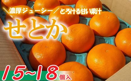 [愛媛県産]せとか 15個~18個入り ( サイズ:4L~3L ) [2月下旬〜発送予定] 柑橘 みかん 果物 くだもの フルーツ おすすめ 高級 人気 お取り寄せ グルメ ギフト 期間限定 数量限定 ご当地 愛媛県 松山市 せとか 