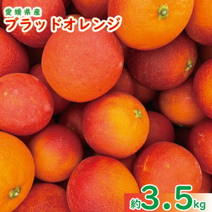 [愛媛県産] ブラッドオレンジ (モロ) 約3.5kg [3月中旬〜発送予定] 柑橘 みかん 果物 くだもの フルーツ おすすめ 人気 お取り寄せ グルメ ギフト 期間限定 数量限定 ご当地 愛媛県 松山市