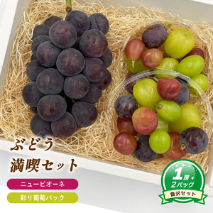[8月下旬頃から発送] ニューピオーネ 約550g ( 大1房 ) + 彩り葡萄パック 約270g ( 2パック ) | ぶどう ニューピオーネ 種なし セット バラ粒 大粒 数量限定 愛媛県産 松山市 [MN0111]