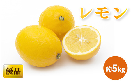 y2026N3{甭z ˓C̓ DiEƒp Tkg b  EG  ̃ ̟EG _ ʌ Ԍ  QY _ L@엿gp Â