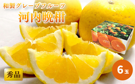 y2026N4{甭z ͓ӊ Gi U MtgBOXbaO[vt[c ؐn u₩ ݂ ~J  Â _ ʌ Ԍ QY Â  k Rs
