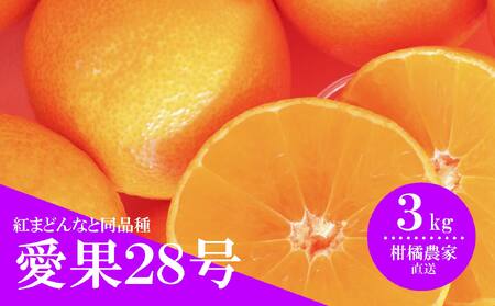 [先行予約] 数量限定 愛果28号 約3kg 愛媛 あいか 柑橘 あいか えひめ あいか くだもの あいか 松山 あいか みかん あいか 北条 あいか フルーツ あいか M〜2L 混合 あいか