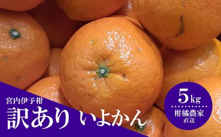 [先行予約][訳あり] 数量限定 伊予柑 5kg みかん 不揃い いよかん 家庭用 柑橘 愛媛 松山 北条 果物 フルーツ 産地直送 みかん 農家直送 [HMN008_A]