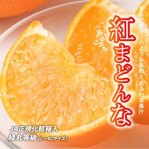 [先行予約]紅まどんな 化粧箱(L〜4L)等級 緑丸 約2.5kg 〜 約3kg 愛媛産 愛媛県産 国産 愛媛みかん 愛媛蜜柑 ミカン みかん ミカン mikan 蜜柑 柑橘 フルーツ 果物 くだもの 高級 お取り寄せ 産地直送 数量限定 人気 おすすめ 愛媛県 松山市 送料無料 