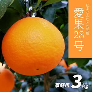 [先行予約]愛果28号 家庭用 3kg あいか 愛媛 あいか 柑橘 あいか 紅まどんなと同品種 あいか 松山 あいか みかん あいか 果物 あいか