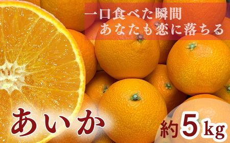 [ 先行予約 ][訳あり]農家直送 名前だけが訳あり あいか 5kg 