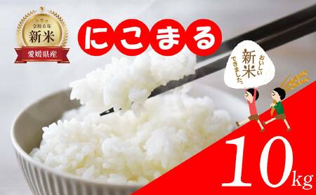 [訳あり]愛媛県産 米10kg 精米 |産地直送 国産 白米 ブランド米 期間限定 数量限定 ご当地 愛媛県 松山市