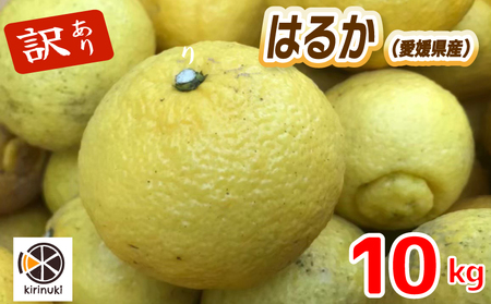 [2月上旬から発送予定]はるか 10キロ( 訳あり )| はるか みかん 訳あり 柑橘 みかん 訳あり 柑橘 みかん 訳あり 柑橘 10kg 愛媛県 松山市