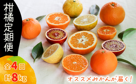 [12月から発送]柑橘定期便 2kg × 4回 計8kg 品種おまかせ( 家庭用 みかん 温州 蜜柑 ミカン 果物 フルーツ 定期便 旬 季節限定 数量限定 NPO法人農音 愛媛県 松山市 中島 農音 )