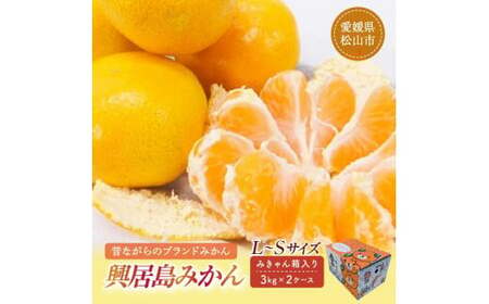 [先行予約][2024年11月下旬頃発送]興居島みかん 約6kg(L〜Sサイズ) みかん 柑橘 興居島 ごごしま ブランド [SSK001_x]