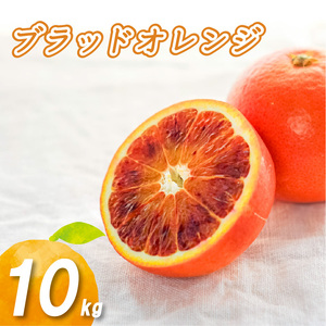 y2026N1{蔭z ubhIW 10kg | ʑI ݂ ~J  k ʌ QY Rs  _ Q ӂ邳Ɣ[ŁyNO0292z