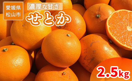 [ご家庭用] 2月中旬から順次発送 せとか 2.5 kg | 訳あり 蜜柑 高級 果物 甘い フルーツ みかん ミカン オレンジ 柑橘 食べて応援 特産品 愛媛 松山