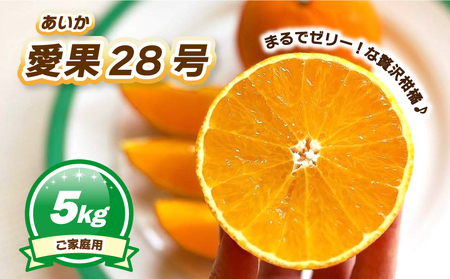 [11月下旬~1月上旬頃発送予定] ご家庭用 愛果28号 約5kg | あいか28号[MN0131]