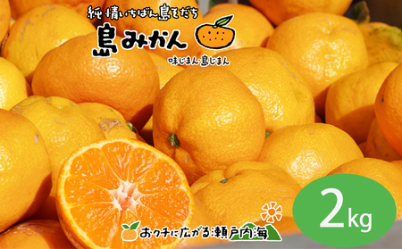 [11月下旬頃〜1月中旬頃に発送予定]温州みかん 2kg 愛媛 中島産 希望の島 家庭用 みかん 柑橘