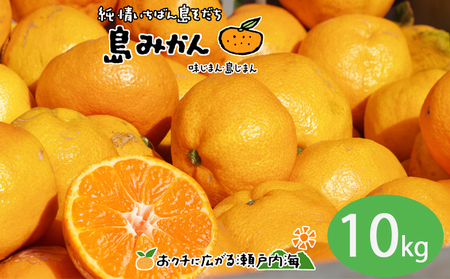 [11月下旬頃から発送予定]温州みかん 10kg 愛媛 中島産 希望の島 家庭用 みかん 柑橘[FT105] ミカンミカンミカンミカンミカンミカンミカンミカン
