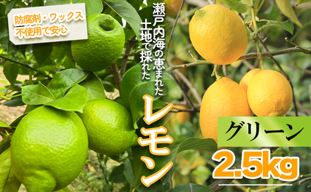 【2025年10月より順次発送】グリーンレモン2.5kg ｜レモン レモン レモン レモン レモン【MSD002_g】