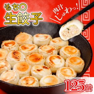 もち〇生餃子 [25個入×5パック 計125個]セット 詰め合わせ 餃子のたれ 国産 ぎょうざ 餃子 餃子 餃子 餃子 餃子 餃子 餃子 餃子 餃子 [ASN0011]