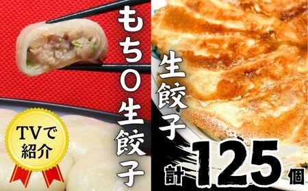 えひめの美味しい厳選餃子 あさの生餃子 もち〇生餃子 セット[5パック 計125個]