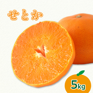 【3月上旬より発送】愛媛県 みかん せとか 5kg | せとか みかん 蜜柑 柑橘 数量限定 愛媛県産 松山市 中島 低農薬 愛媛県 松山市【NO054】