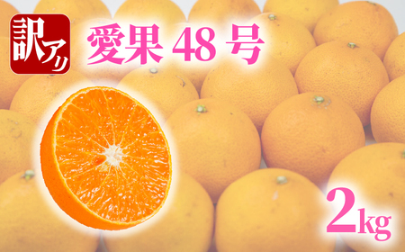 訳あり 愛果48号 約2kg | ( 紅プリンセス と同品種 ) [VEG0901]