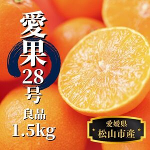 [早期予約受付中!2025年12月〜順次発送][あいか] 約 1.5kg 良品 みかん 先行予約 蜜柑 柑橘 果物 くだもの フルーツ お取り寄せ グルメ 期間限定 数量限定 人気 おすすめ 愛媛県 松山市 