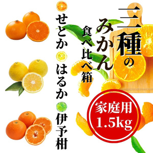 [三種のみかん食べ比べ箱] [2月から順次発送] せとか・はるか・伊予柑 約1.5kg 家庭用 