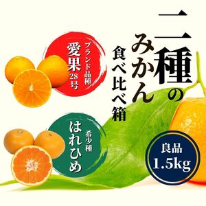 y\tI2025N12`ẑ݂Hהה y 28 E͂Ђ߁z  1.5kg Ǖi ݂ s\  k ʕ  t[c  O Ԍ 