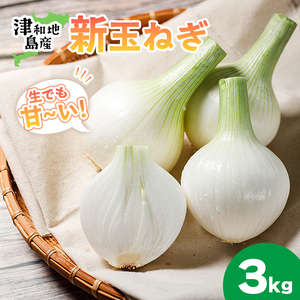 【先行予約】 津和地新玉ねぎ 3kg【津和地ブランド玉ねぎ】| 玉ねぎ 玉ねぎ 玉ねぎ 玉ねぎ 玉ねぎ【YMN001】