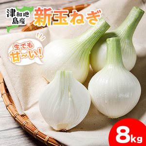 【先行予約】 津和地新玉ねぎ 8kg【津和地ブランド玉ねぎ】 | 玉ねぎ 玉ねぎ 玉ねぎ 玉ねぎ 玉ねぎ【YMN003】