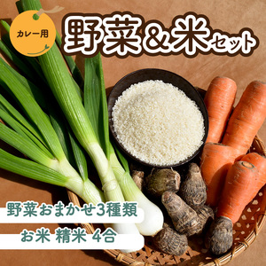 [先行予約] 野菜 米 セット カレー用 農薬不使用 自然栽培 | お米お米お米お米