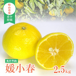 [先行予約]媛小春 2.5kg 家庭用 | 媛小春 ひめこはる みかん 希少柑橘 農家直送 愛媛 松山 フルーツ 果物 くだもの 2.5キロ 数量限定 期間限定 送料無料 柑橘 みかん フルーツ 果物 